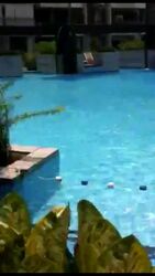 The Stellar (D5), Condominium #504513791